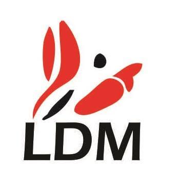 LDM Technologies (Pvt.) Ltd